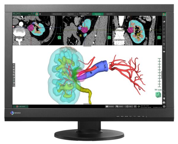 MX243W - immagine 3