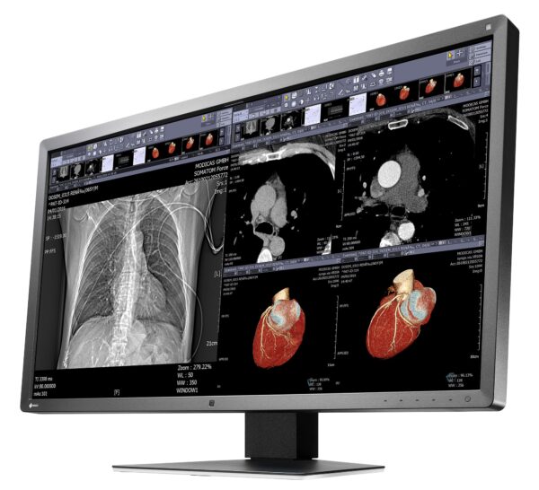 MX317W - immagine 3